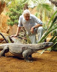Aligator